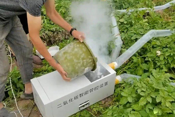 01二氧化碳氣肥.jpg